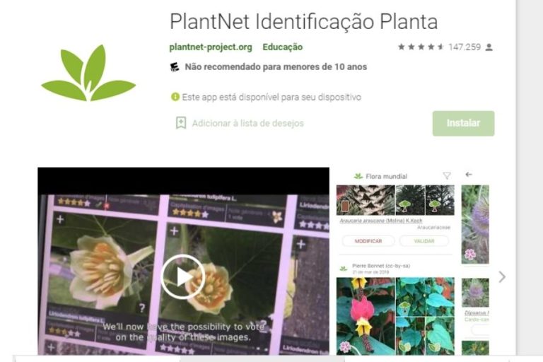 PlantNet – Conhecer as plantas nunca foi tão fácil