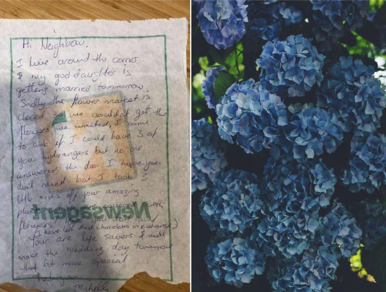 A carta emocionada de uma mulher que roubou flores de seu vizinho