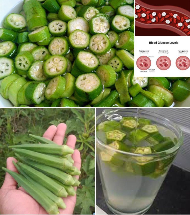 🥒💧 11 Motivos Poderosos Para Toda a Sua Família Beber Água de Quiabo Todos os Dias!