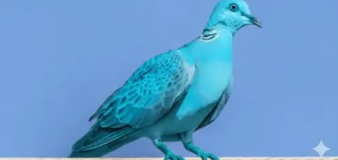 pombo chega perto da sua casa